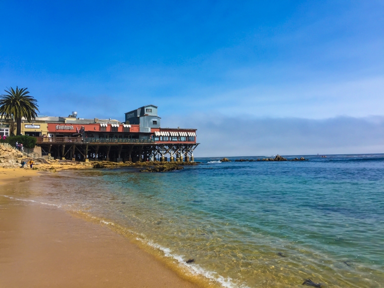 Pacific Highway Road Trip: Day 3 Monterey Bay